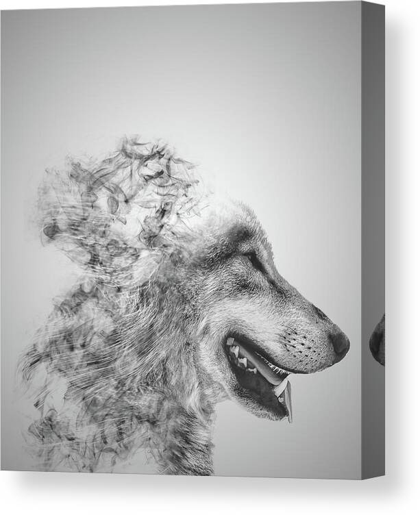 Dispersion Canvas Print featuring the photograph Smokey Wolf by Martin Newman