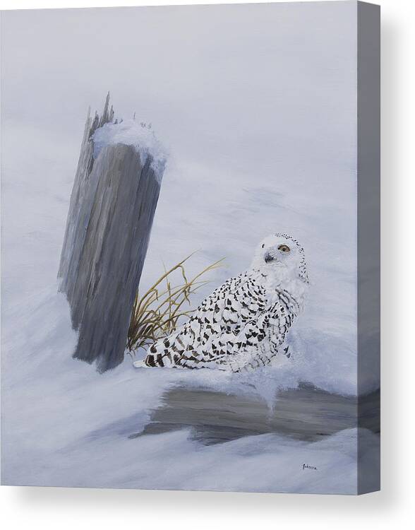 Snowy Owl Canvas Print featuring the painting Solitude - Snowy Owl by Johanna Lerwick