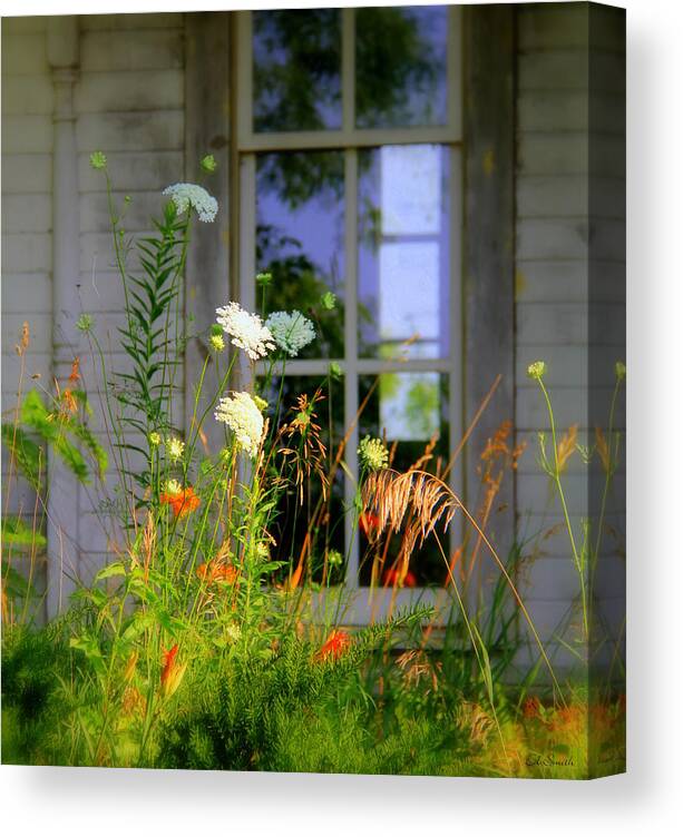 Spring Orange Canvas Print featuring the photograph Spring Orange by Edward Smith