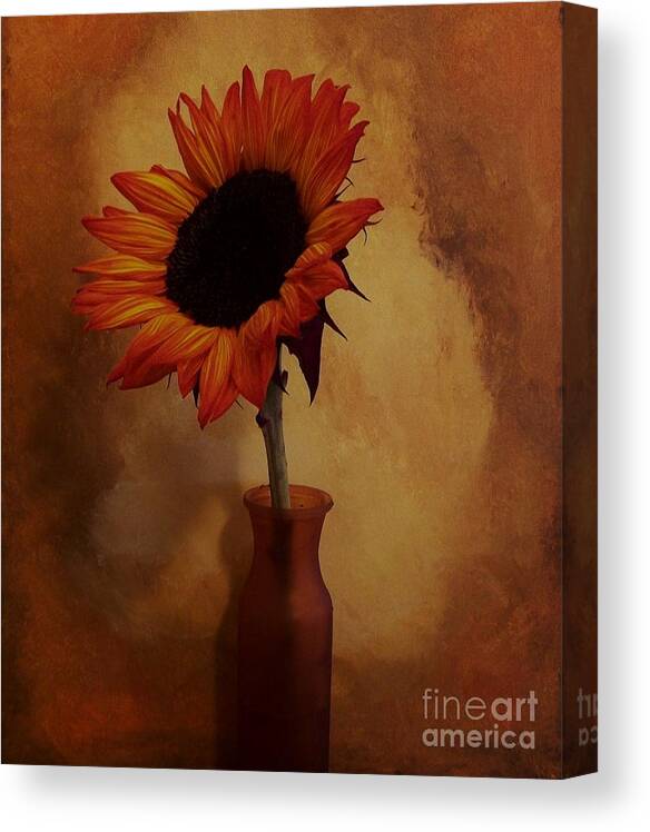 Photo Canvas Print featuring the photograph Sunflower Seed Maker by Marsha Heiken