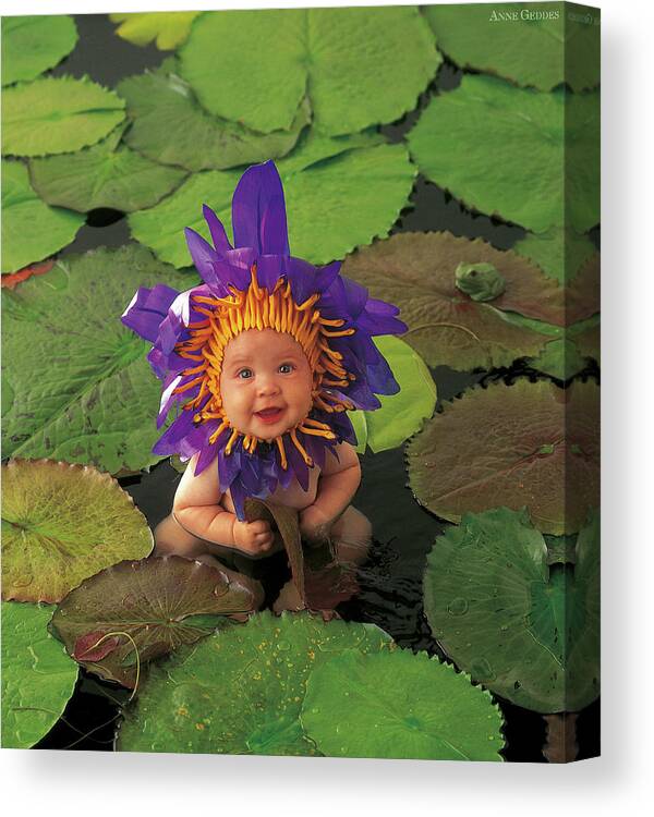 Flower Canvas Print featuring the photograph Tayla as a Waterlily by Anne Geddes