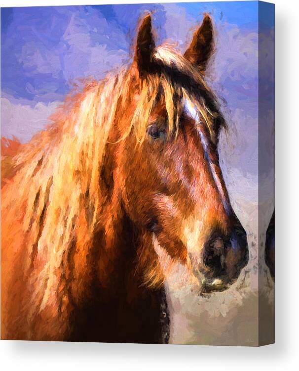 Horse Canvas Print featuring the photograph Wild Mare Impressions by Greg Norrell