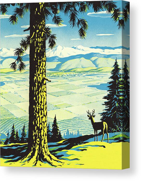 Animal Canvas Print featuring the drawing Wilderness Scene #2 by CSA Images