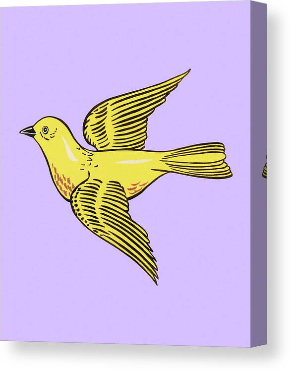 Animal Canvas Print featuring the drawing Yellow Bird #2 by CSA Images