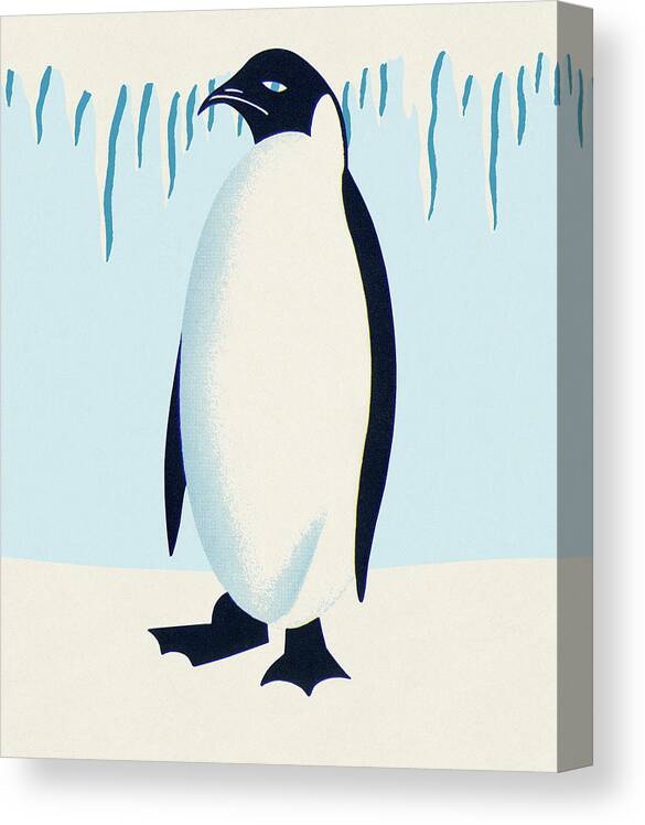 Animal Canvas Print featuring the drawing Penguin #3 by CSA Images