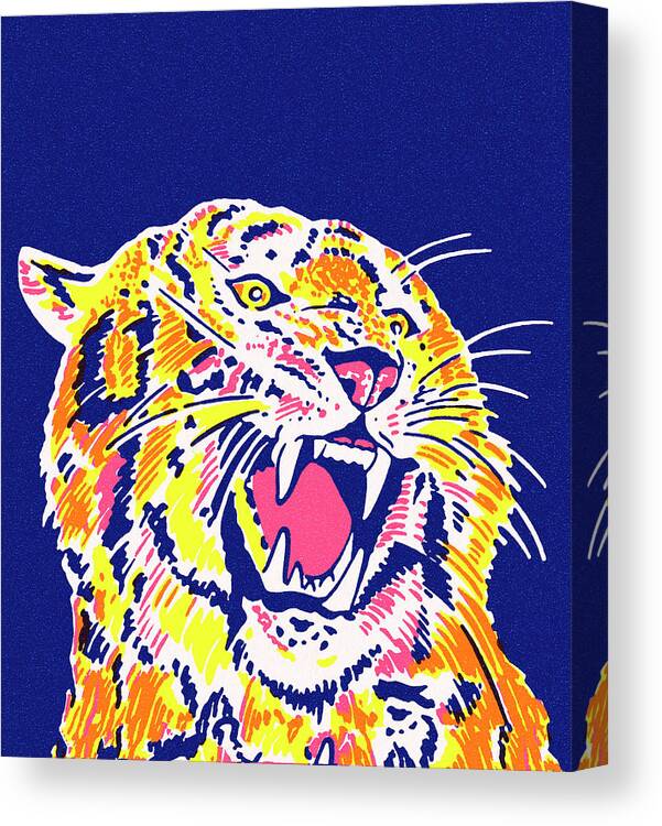Animal Canvas Print featuring the drawing Roaring Tiger by CSA Images
