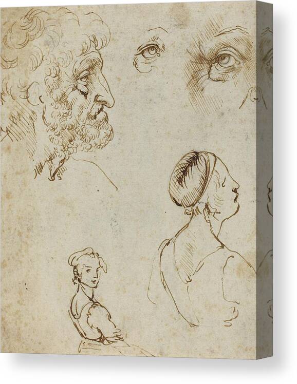 Drawings Canvas Print featuring the drawing Sheet Of Studies by Leonardo Da Vinci