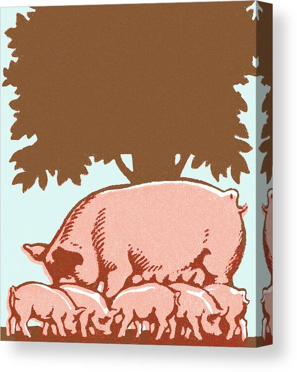 Agriculture Canvas Print featuring the drawing Pig by CSA Images