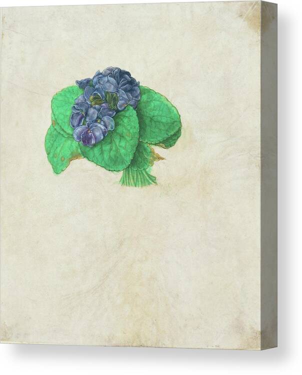 School: German Canvas Print featuring the drawing A bunch of violets. Watercolour and tempera on paper mounted on cardboard -2nd half 16th-. by School German School German