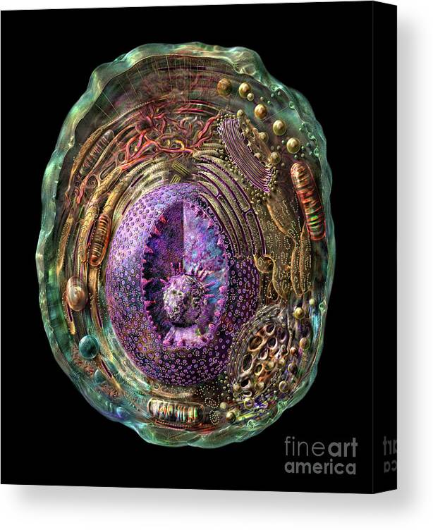 Animal Canvas Print featuring the digital art Animal Cell by Russell Kightley
