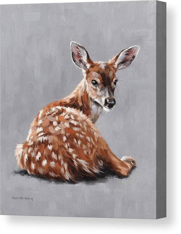 Fawn Canvas Print featuring the painting Annabelle by Rachel Stribbling