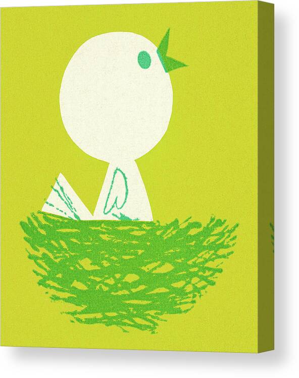 Animal Canvas Print featuring the drawing Baby Chick in Nest by CSA Images