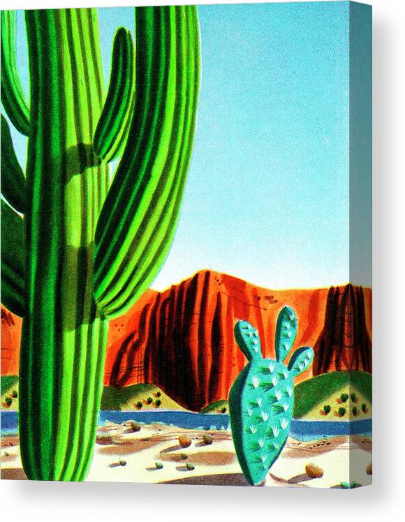 Cactus Canvas Print featuring the drawing Cactus and Rock Formation Landscape by CSA Images