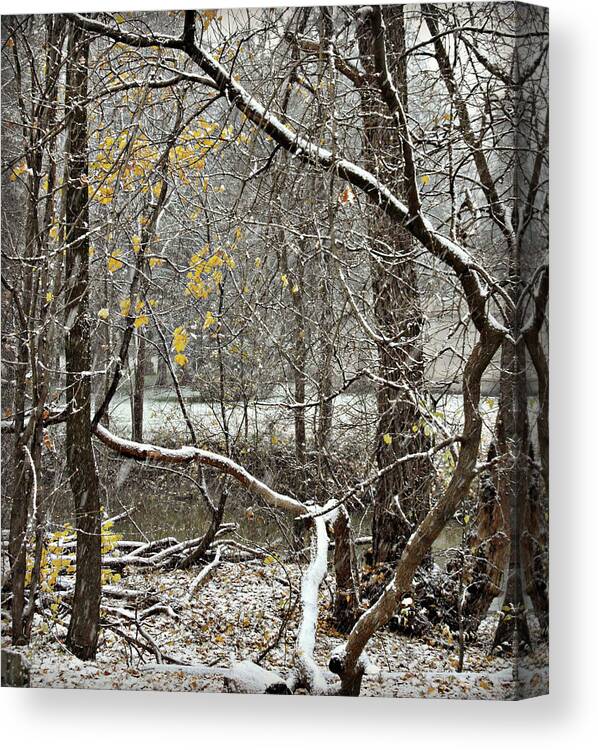 First Snow Fall Canvas Print featuring the photograph First Snow Fall 1 by Cyryn Fyrcyd