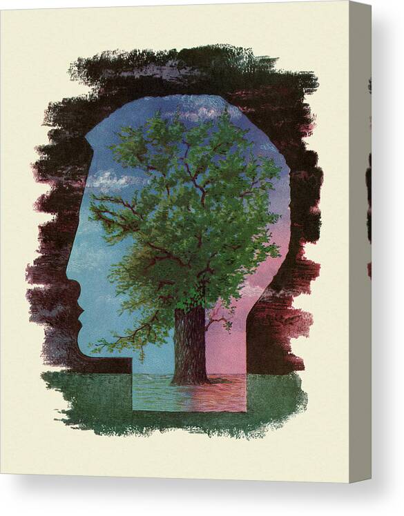 Campy Canvas Print featuring the drawing Large Tree in the Silhouette of a Man's Head by CSA Images