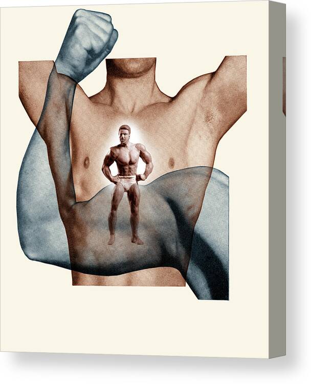 Anatomical Canvas Print featuring the drawing Man and Muscles by CSA Images