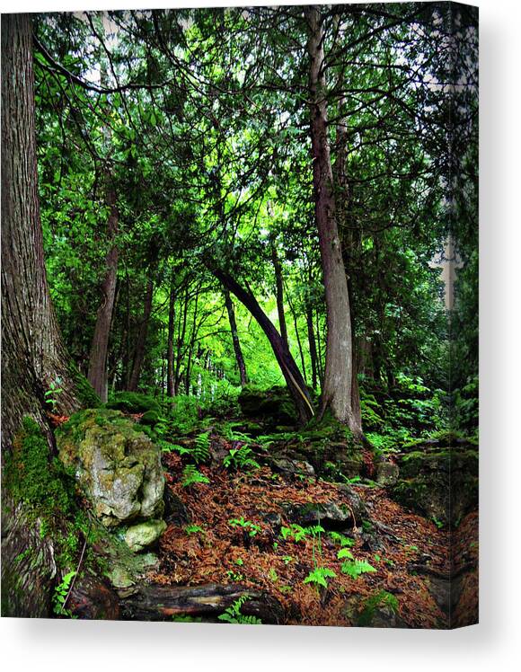 Natures Way Canvas Print featuring the photograph Natures Way 10 by Cyryn Fyrcyd