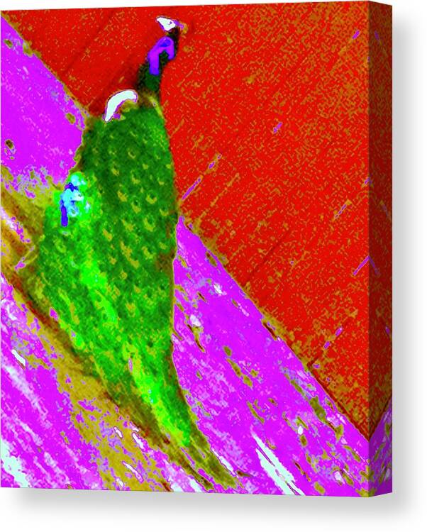Photo Stream Canvas Print featuring the photograph Peacock on a Slant by Debra Grace Addison