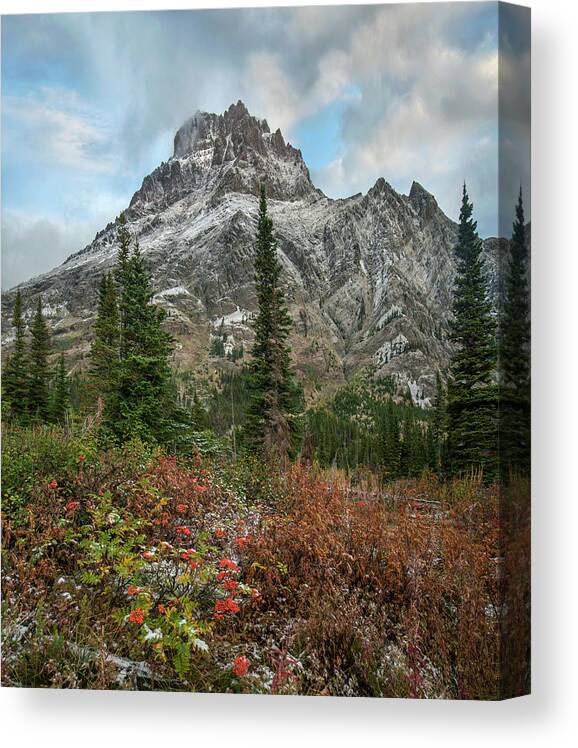 00575365 Canvas Print featuring the photograph Rising Wolf Mountain, Glacier National by Tim Fitzharris