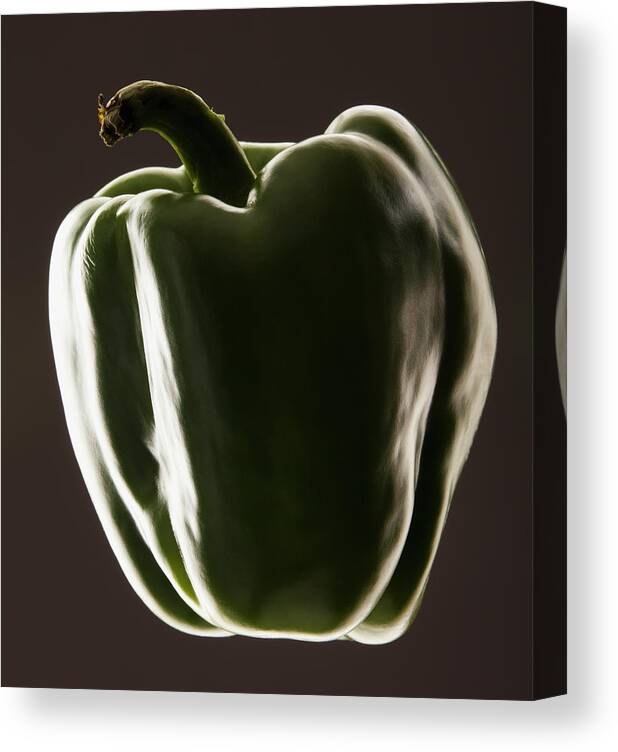 Concepts & Topics Canvas Print featuring the photograph Studio Shot Of Green Bell Pepper by Mike Kemp