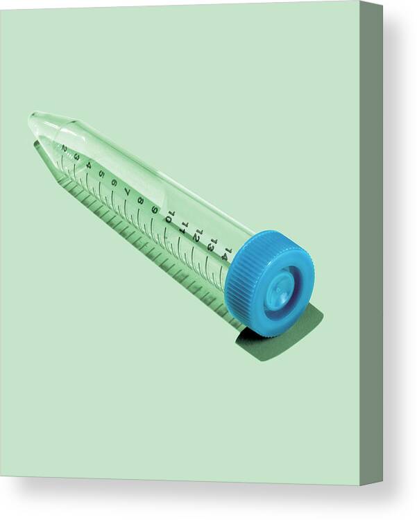 Antiseptic Canvas Print featuring the drawing Test Tube by CSA Images