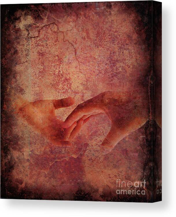 Aid Canvas Print featuring the photograph Touch by Jelena Jovanovic