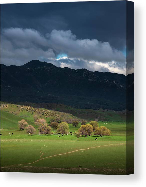 San Diego Canvas Print featuring the photograph Warner Springs Hills and Clouds by William Dunigan