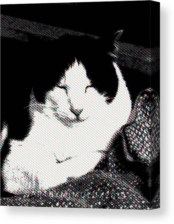 Cat Canvas Print featuring the photograph Zen Cat by Mimulux Patricia No