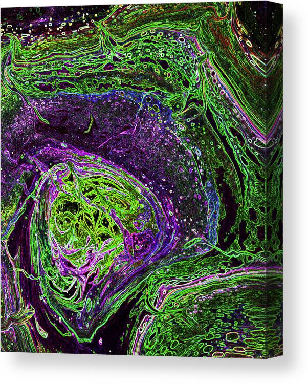 Acrylic Abstract Canvas Print featuring the painting Wisdom Seeker FV2 by Diane Goble