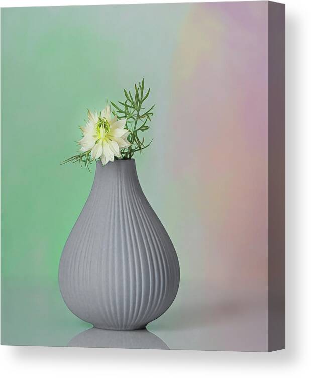 Love In A Mist Canvas Print featuring the photograph A Love in a Mist in its vase by Sylvia Goldkranz