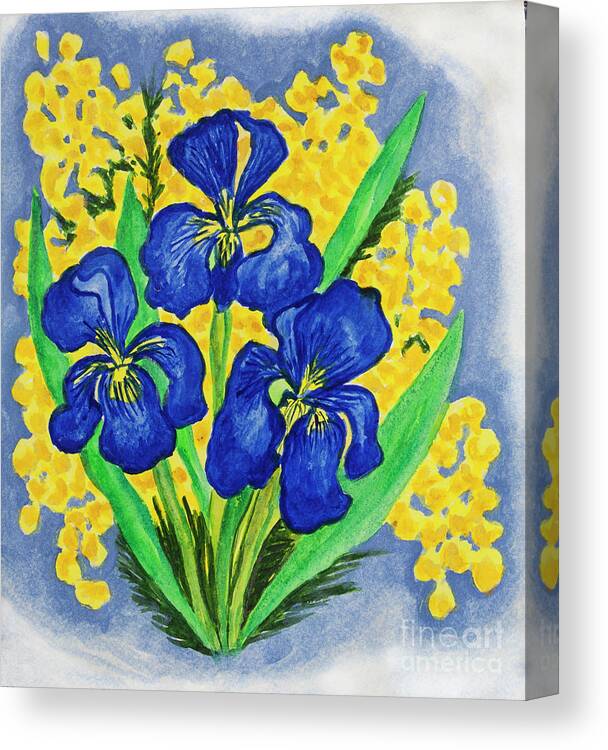 Iris Canvas Print featuring the painting Blue irises and mimosa by Irina Afonskaya