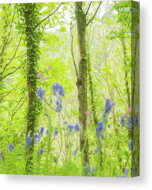 Bluebells Canvas Print featuring the photograph Bluebell Woods by Diane Fifield