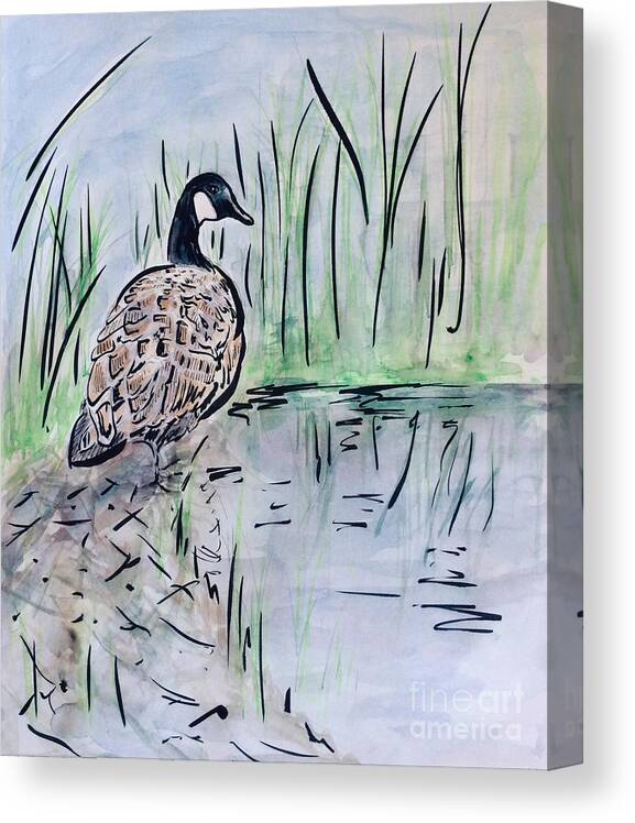 Canada Goose Canvas Print featuring the painting Canada Goose by Waterside by Maxie Absell