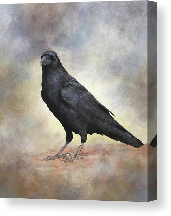 Bird Canvas Print featuring the mixed media Crow Raven Bird 88 by Lucie Dumas