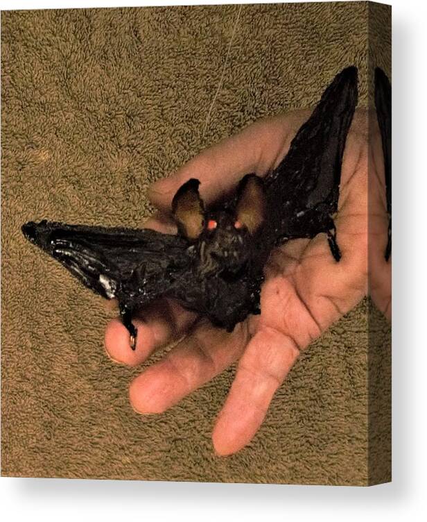 Bat In Hand Canvas Print featuring the sculpture Flying Bat in Hand by Roger Swezey