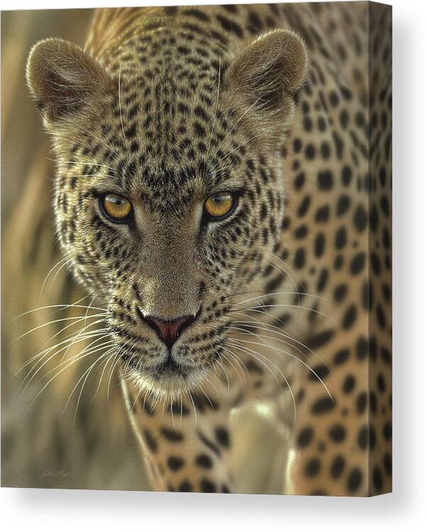Leopard Art Canvas Print featuring the painting Leopard - On the Prowl by Collin Bogle