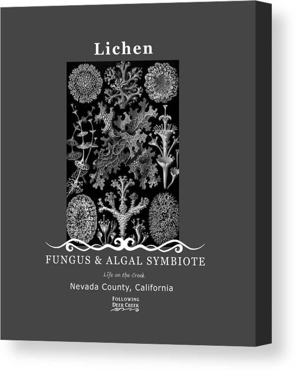 Lichen Canvas Print featuring the digital art Lichen by Lisa Redfern