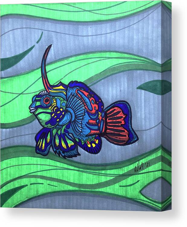 Mandarinfish Canvas Print featuring the drawing Mandarinfish by Creative Spirit