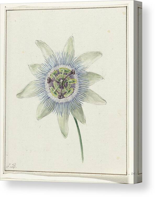 Vintage Canvas Print featuring the painting Passion Flower, Jean Bernard, c. 1825 by MotionAge Designs