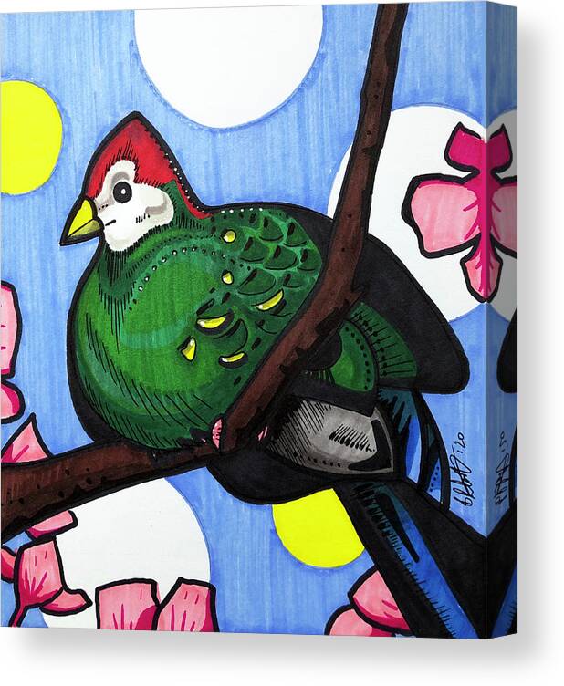Red Crested Turaco Canvas Print featuring the drawing Red Crested Turaco by Creative Spirit