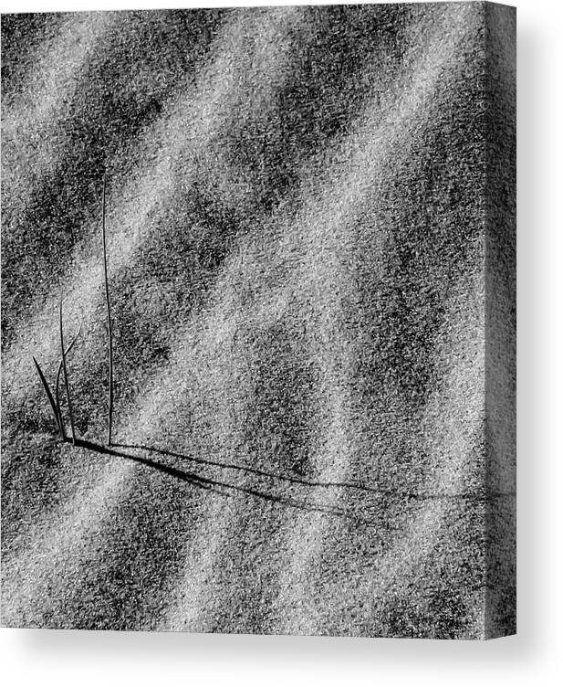 Black Canvas Print featuring the photograph Sand and Shadows by Cathy Kovarik