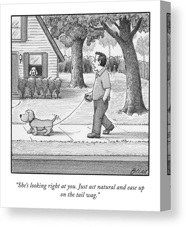 she's Looking Right At You. Just Act Natural And Ease Up On The Tail Wag.� Canvas Print featuring the drawing She's Looking Right At You by Harry Bliss