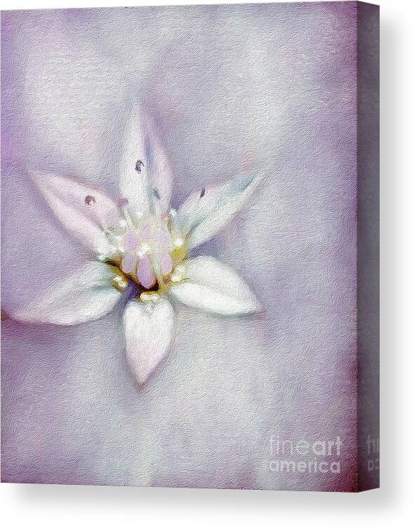 Soft Canvas Print featuring the digital art Soft and Sweet Flower Art by Laurie's Intuitive