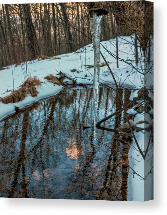Icicle Canvas Print featuring the photograph Spring Fed Icicle by Lara Ellis
