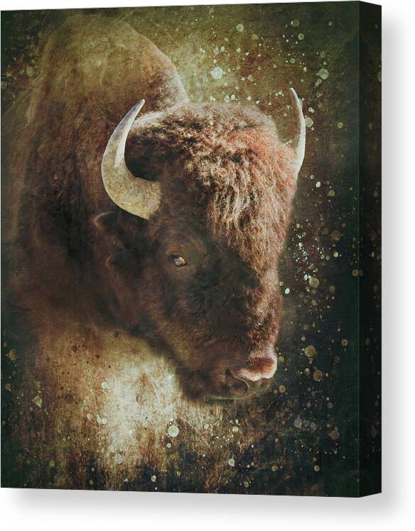 Grunge Style Bison Canvas Print featuring the mixed media Textured Bison Portrait by Dan Sproul