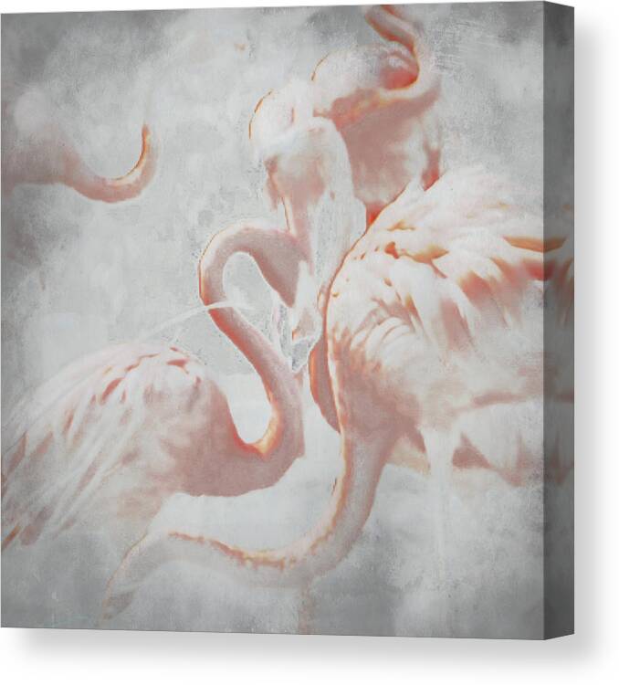 The Flamingo Dance Canvas Print Canvas Art By Sharon Kalstek Coty