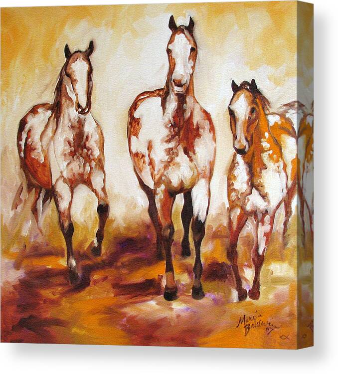 Three Pinto Indian Ponies Canvas Print / Canvas Art by Marcia Baldwin