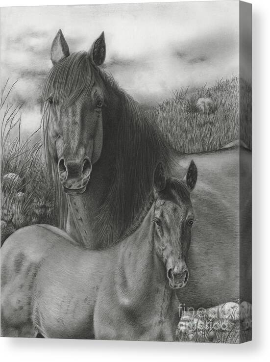Equine Art Canvas Print featuring the drawing Passing The Mantel by Barby Schacher