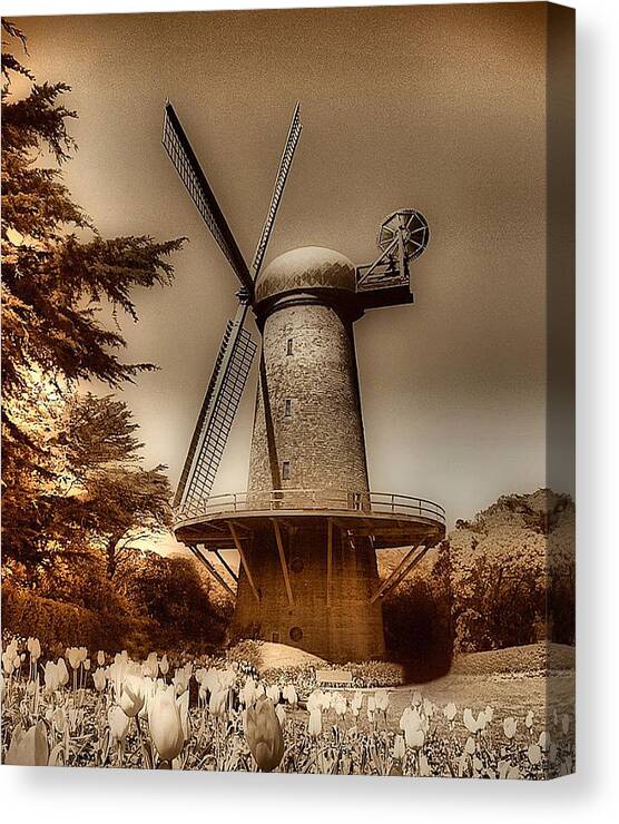 Windmill At Golden Gate Park - Marcus Armani Canvas Print featuring the photograph Windmill At GGP by Marcus Armani