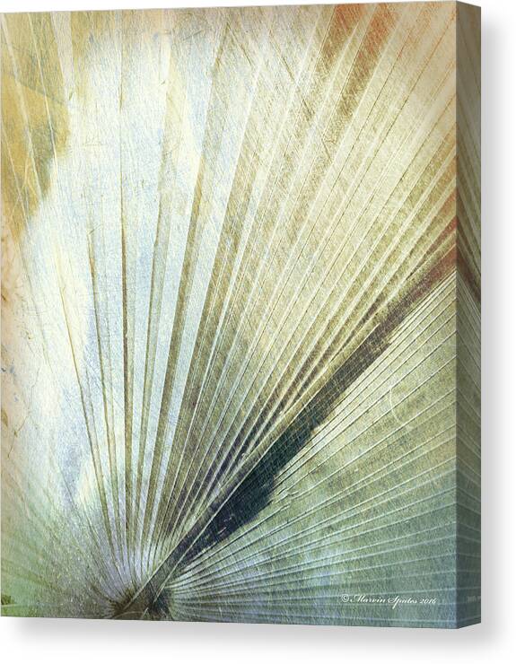 Green Canvas Print featuring the photograph Bronze Blue Palm Frond RH by Marvin Spates
